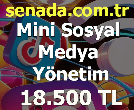 Sosyal Medya Yönetim (Mini)
